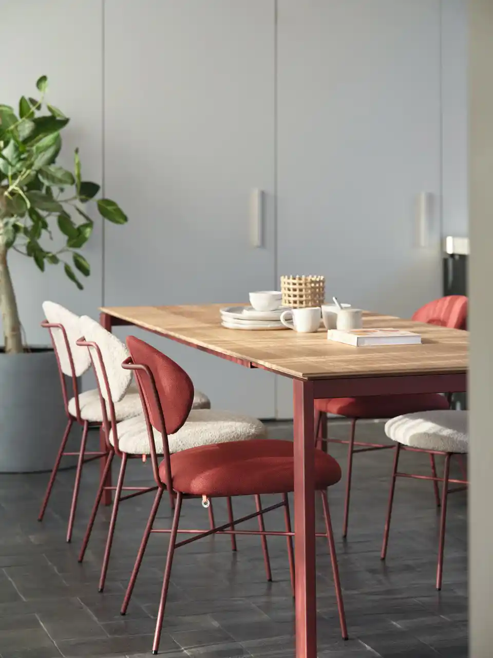 Tische Modern Esszimmer mit Holz-Esstisch, farbigen Stühlen und einer Pflanze im Hintergrund.